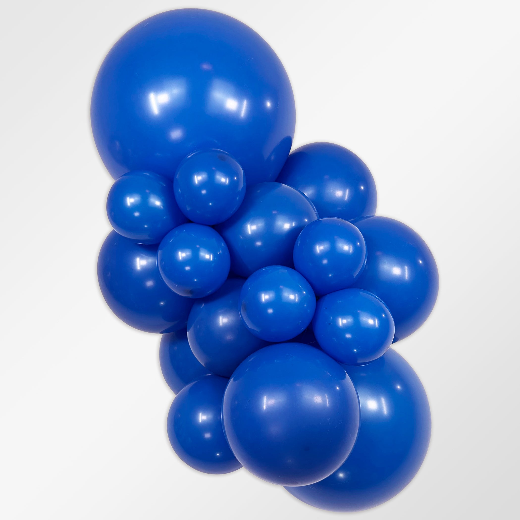 Sempertex Balloons - Vivid Muse – Opulent Black Swan