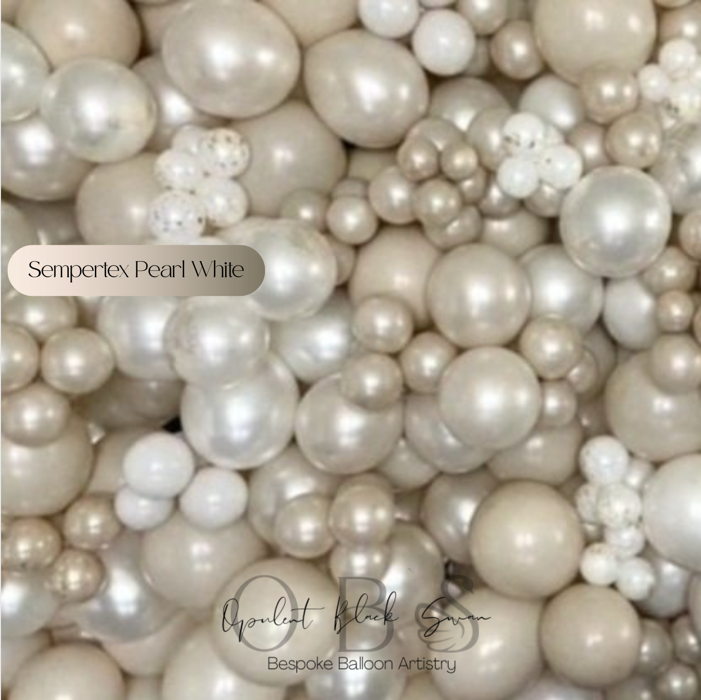 Sempertex Balloons - Pearl/Satin Muse