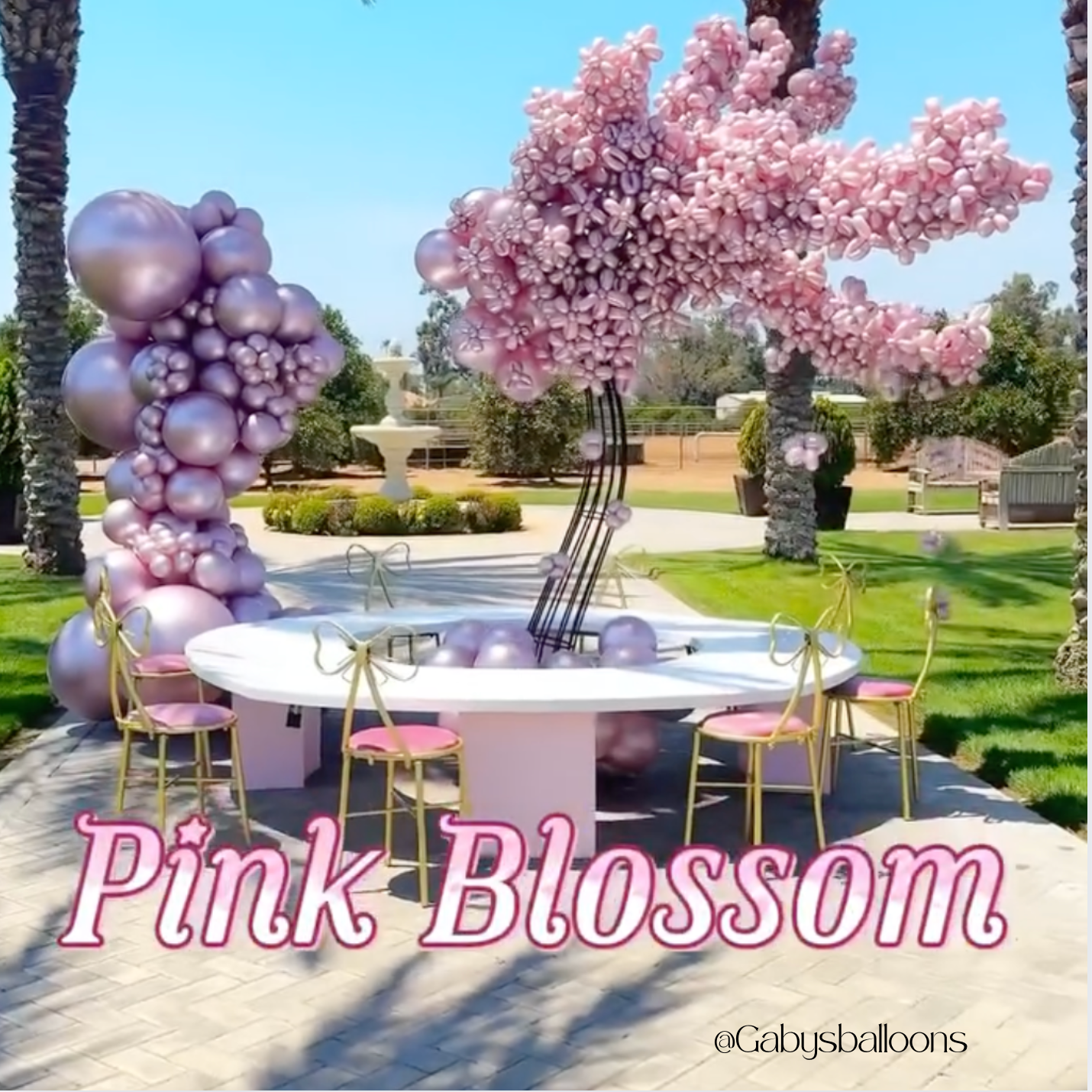 Sempertex Balloons - Silk (Coming Soon)