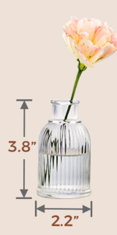 Curated Decor and Styling Pieces Rentals
