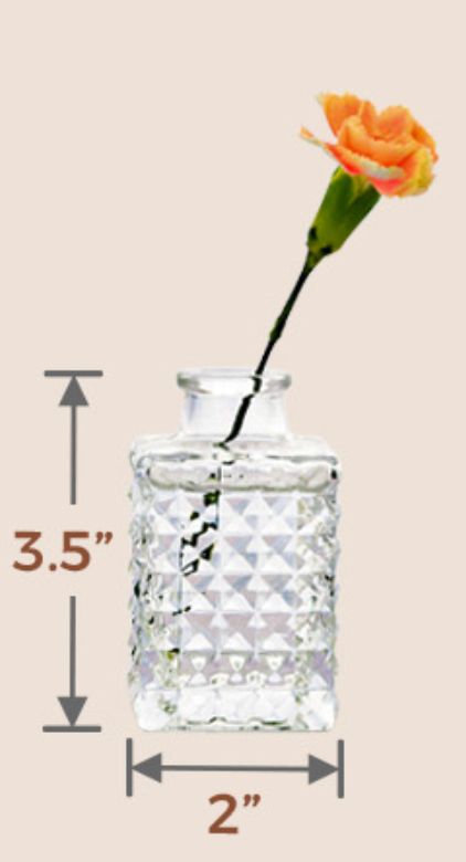 Curated Decor and Styling Pieces Rentals