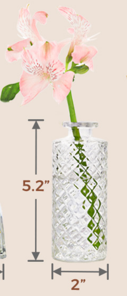 Curated Decor and Styling Pieces Rentals