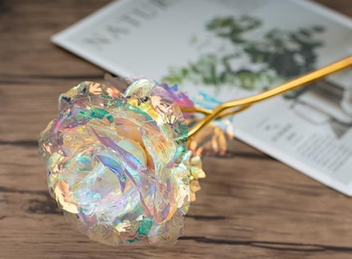 Creative Reuse Collection Rentals